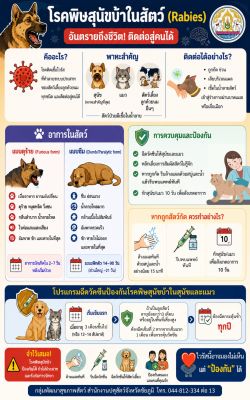 โรคพิษสุนัขบ้า (Rabies)