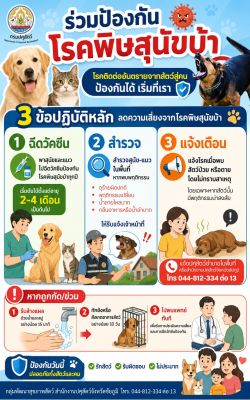 การป้องกันโรคพิษสุนัขบ้า ด้วย 3 ข้อปฏิบัติหลัก
