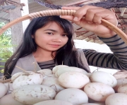 Young Smart Farmer ต้นแบบ นางสาวโสพิศ ดวงแก้ว