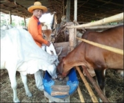 Smart Farmer ต้นแบบ นายเจริญผล พรหมประสิทธิ์