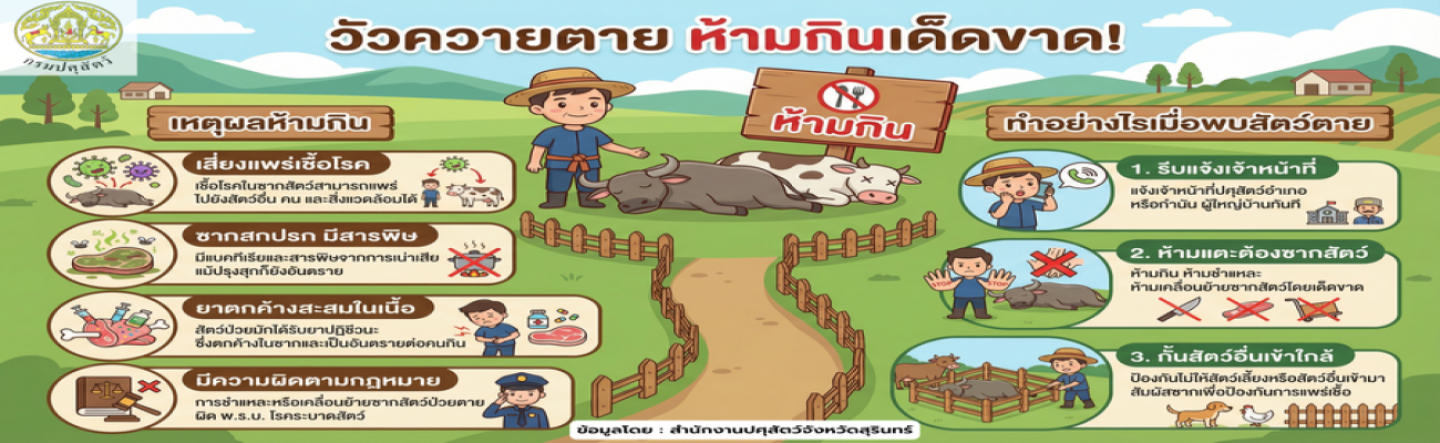 🐄❌ โค–กระบือตายด้วยโรคระบาด หรือไม่ทราบสาเหตุ กินได้ไหม? 👉 ห้ามกิน! ห้ามชำแหละ! ห้ามจำหน่าย–เคลื่อนย้ายซาก!