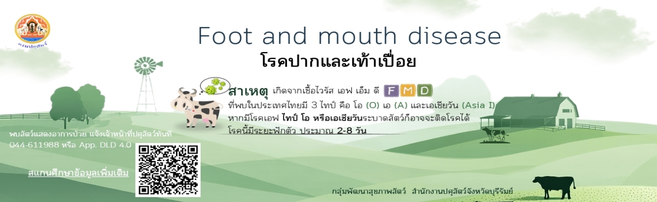 อินโฟโรคปากเท้าเปื่อย