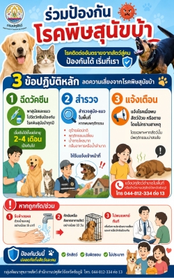 การป้องกันโรคพิษสุนัขบ้า ด้วย 3 ข้อปฏิบัติหลัก