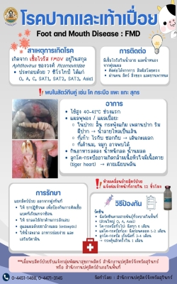 🐂🦠FMD โรคปากและเท้าเปื่อย 🦠🐄 (Foot and mouth disease)