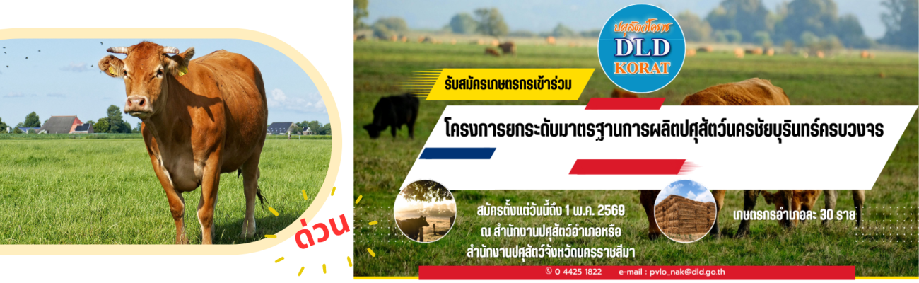 รับสมัครเกษตรกรผู้เลี้ยงโคเนื้อเข้าร่วมโครงการฯ 2569