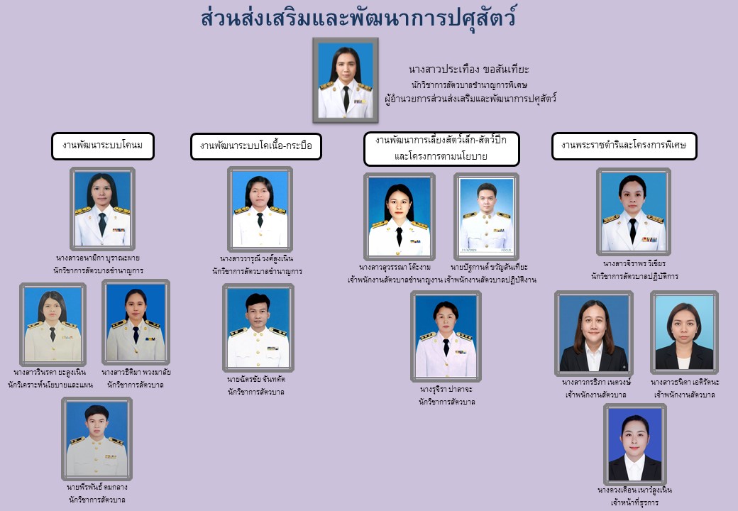 ผังส่วนส่งเสริมฯ