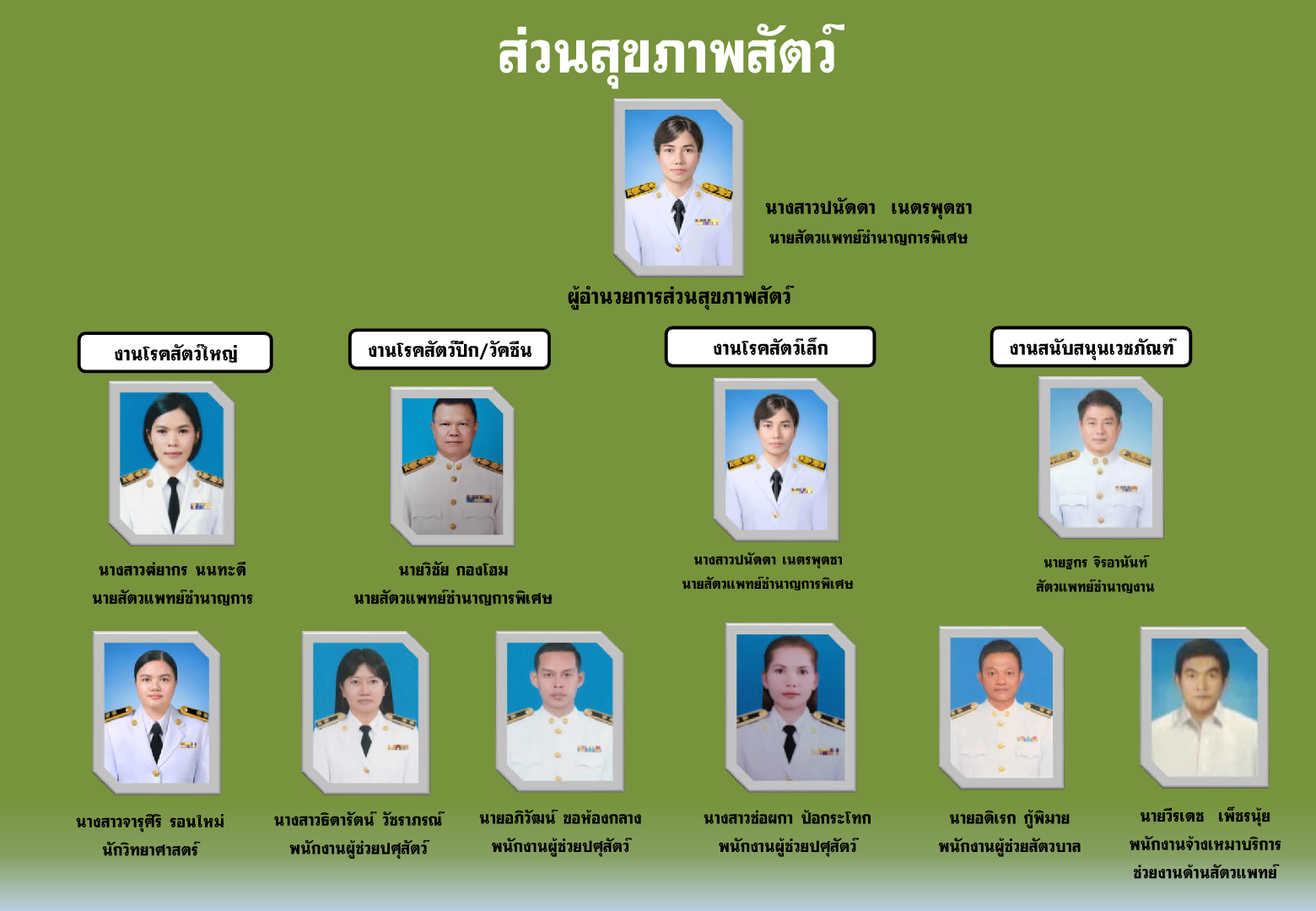ผังส่วนสุขภาพสัตว์ฯ