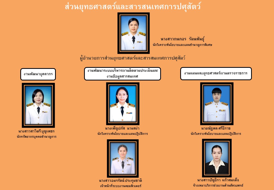 ผังส่วนยุทธศาสตร์ฯ