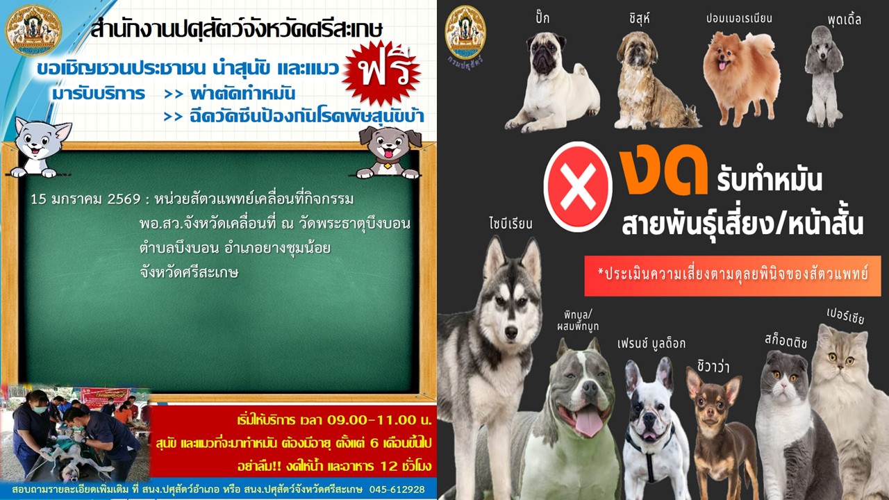 News pachasumpun15012569