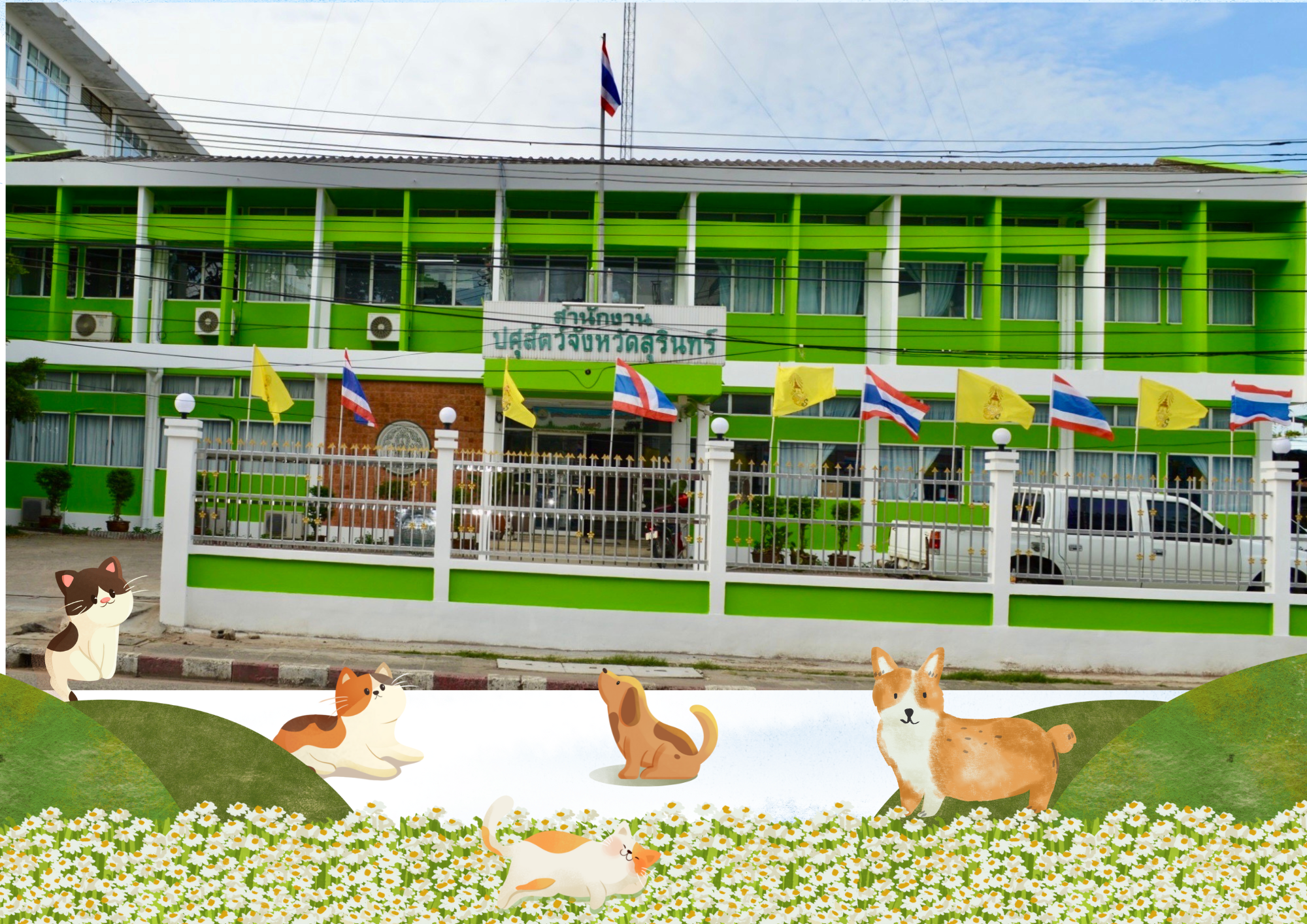 ปศุสัตววว