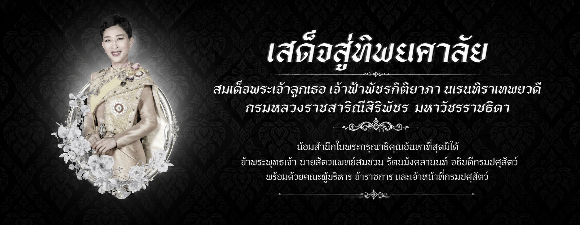 ChatGPT Image 15 mi.y. 2569 10 59 15
