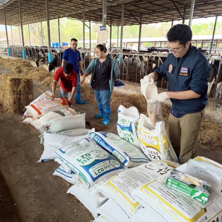 ลงพื้นที่เก็บตัวอย่างน้ำนมดิบและอาหารสัตว์ แก้ไขปัญหาคุณภาพน้ำนมในพื้นที่จังหวัดนครราชสีมา