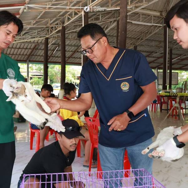 ปศุสัตว์โคราช ออกหน่วยสัตวแพทย์เคลื่อนที่ ณ อ.บัวใหญ่