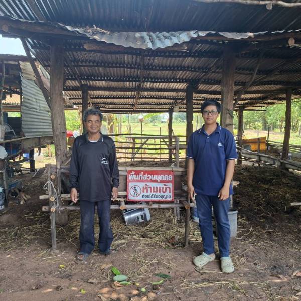 สำนักงานปศุสัตว์อำเภอแก้งสนามนาง ออกเยี่ยมและให้บริการเกษตรกรผู้เลี้ยงโคเนื้อ