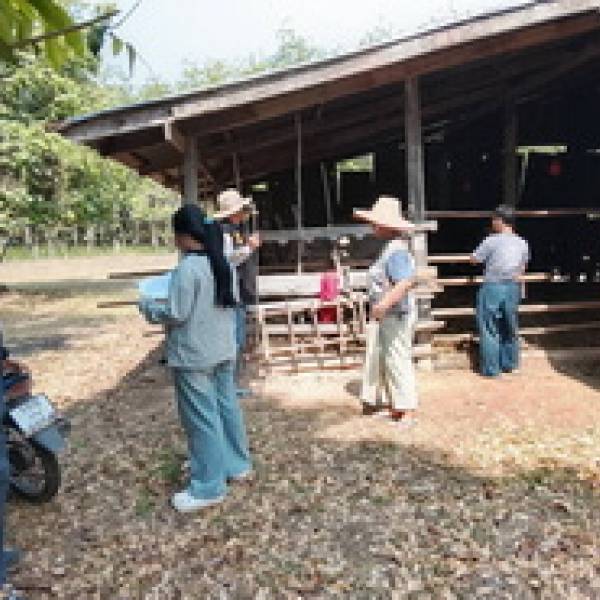 ปศุสัตว์จังหวัดบุรีรัมย์ลงพื้นที่ฉีดวัคซีนป้องกันโรคปากและเท้าเปื่อย