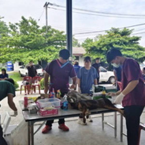 ปศุสัตว์จังหวัดบุรีรัมย์ ร่วมกับโรงพยาบาลค่ายสมเด็จเจ้าพระยามหากษัตริษย์ศึก จัดโครงการป้องกันโรคพิษสุนัขบ้า