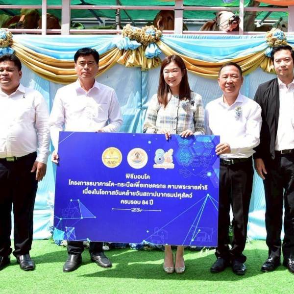 ปศุสัตว์โคราชรับมอบโค ธคก. 25 ตัว ในงานวันคล้ายวันสถาปนากรมปศุสัตว์ ครบรอบ 84 ปี