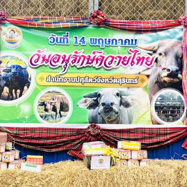 “ปศุสัตว์สุรินทร์  บูรณาการร่วมกับ ศูนย์วิจัยและพัฒนากระบือ  ศูนย์วิจัยและพัฒนาอาหารสัตว์ร้อยเอ็ด มหาวิทยาลัยมหาสารคาม และองค์การบริหารส่วนตำบลพรมเทพ อำเภอท่าตูม จังหวัดสุรินทร์  จัดกิจกรรมวันอนุรักษ์ควายไทยเชิงสัญลักษณ์ (วันที่ 14 พฤษภาคม ของทุกปี)