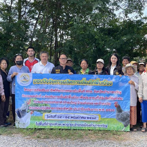 ปศุสัตว์อำนาจเจริญ... มอบปัจจัยการผลิตภายใต้โครงการส่งเสริมอาชีพให้แก่เกษตรกรในพื้นที่ คทช. จังหวัดอำนาจเจริญ กิจกรรมหลักที่ 3 ส่งเสริมการเลี้ยงไก่พื้นเมือง เพื่อประชาชนที่ได้รับจัดที่ดินทำกินในเขตป่าสงวนแห่งชาติ (ป่าดงใหญ่ ป่าดงหัวกอง และป่าดงปอ)