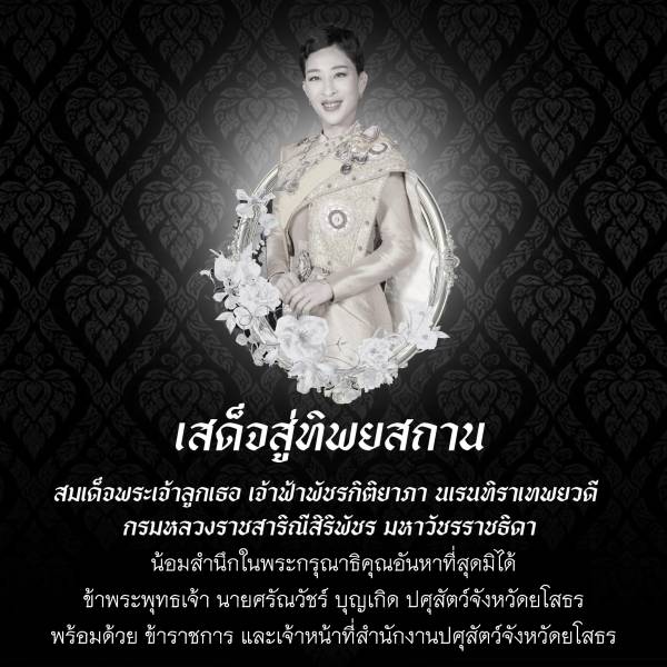 น้อมเกล้าน้อมกระหม่อมส่งเสด็จ ด้วยสำนึกในพระกรุณาธิคุณอันหาที่สุดมิได้ ข้าพระพุทธเจ้าน้อมรำลึกถึงพระจริยวัตรอันงดงาม พระวิริยอุตสาหะ และพระราชกรณียกิจนานัปการ อันทรงอุทิศเพื่อประโยชน์สุขแห่งประชาชนและประเทศชาติ ขอน้อมถวายความอาลัยอย่างสุดซึ้ง และน้อมสำนึก