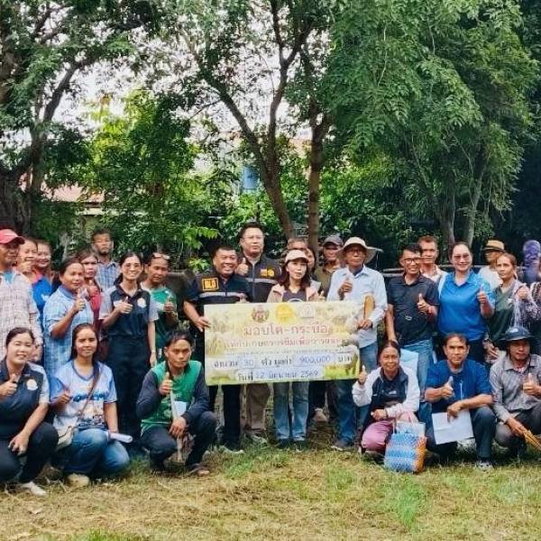ปศุสัตว์สุรินทร์ มอบกระบือ โครงการธนาคารโค-กระบือเพื่อเกษตรกร ตามพระราชดำริ ในพื้นที่อำเภอกาบเชิง