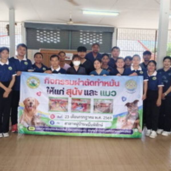 ปศุสัตว์จังหวัดบุรีรัมย์ออกหน่วยฉีดวัคซีนป้องกันโรคพิษสุนัขบ้าและผ่าตัดทำหมันสุนัขและแมว