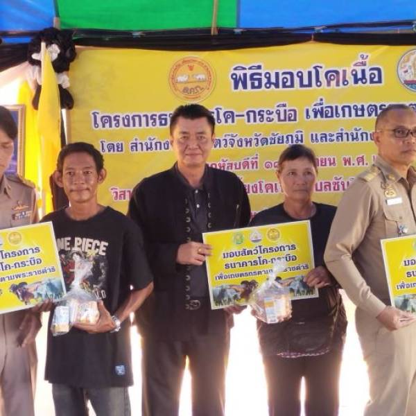 ปศุสัตว์ชัยภูมิ มอบสัตว์โครงการธนาคารโค-กระบือเพื่อเกษตร ตามพระราชดำริ ในพื้นที่อำเภอซับใหญ่