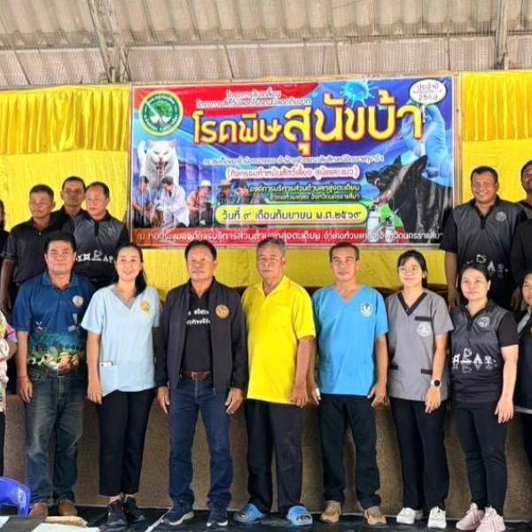 ปศุสัตว์โคราช ปศุสัตว์ห้วยแถลง ร่วมกับ องค์การบริหารส่วนตำบลหลุ่งตะเคียน ทำหมันสุนัขและแมว ประจำปีงบประมาณ 2569