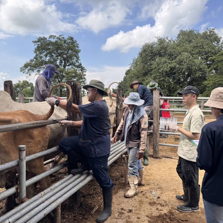 ตรวจผลการปฏิบัติงานตรวจสุขภาพสัตว์ประจำปี ติดตามงานผสมเทียมออกหน่วยดูแลรักษาพยาบาลสัตว์​ ประจำปีงบประมาณ พ.ศ.​ ​2569