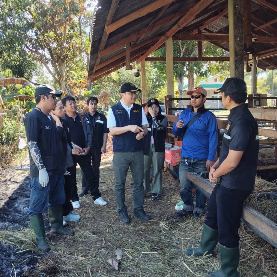 ปศุสัตว์เขต 3 ติดตามผลการควบคุมโรคปากและเท้าเปื่อย และปัญหาด้านสุขภาพอื่นๆในโคกระบือ พื้นที่จังหวัดศรีสะเกษและจังหวัดอุบลราชธานี