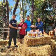 ตรวจสุขภาพและให้ความช่วยเหลือโคที่อพยพจากเหตุการณ์ความไม่สงบพื้นที่ชายแดนไทย-กัมพูชา