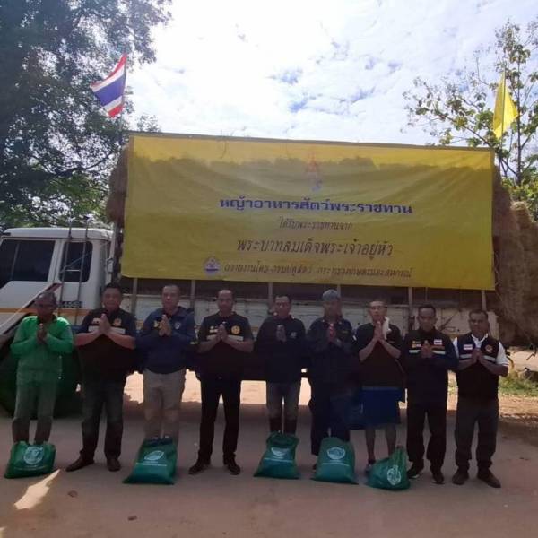 “ปศุสัตว์อุบลฯ  รับมอบเสบียงหญ้าอาหารสัตว์พระราชทาน ช่วยเหลือเกษตรกรผู้ประสบภัย พื้นที่อำเภอน้ำยืน