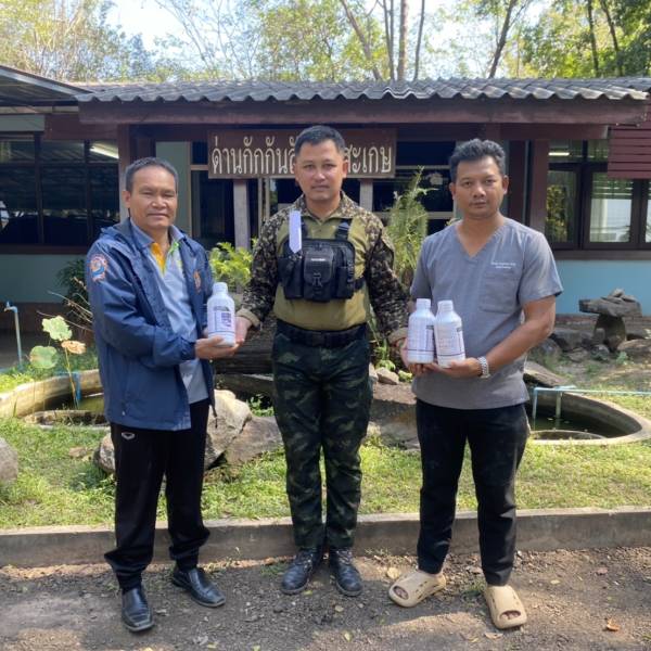 ปศุสัตว์ลงพื้นที่ช่วยแนวหน้ากำจัดสัตว์พาหะในฐานปฏิบัติการป้องกันโรคสู่กำลังพล