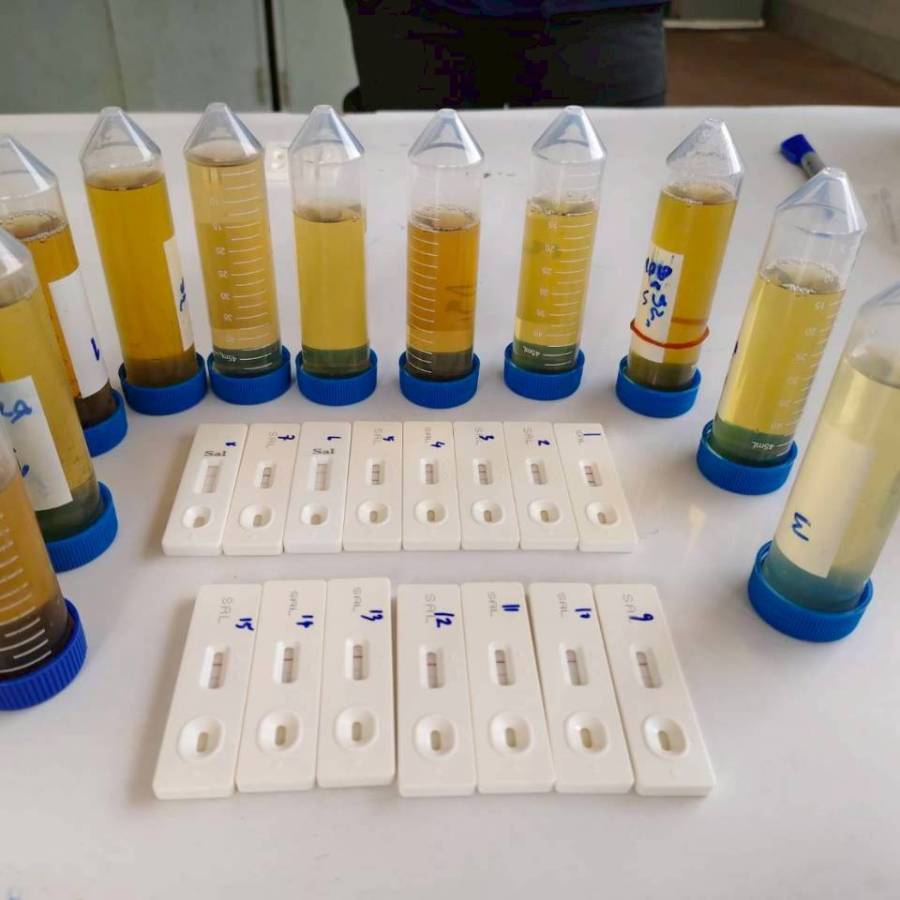 เฝ้าระวังการใช้สารเร่งเนื้อแดงฟาร์มโคเนื้อในพื้นที่จังหวัดบุรีรัมย์