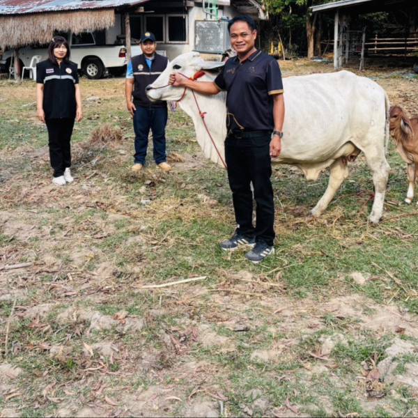“ปศุสัตว์สุรินทร์  ติดตามลูกเกิดสัตว์โครงการธนาคารโค-กระบือเพื่อเกษตรกร ตามพระราชดำริ”