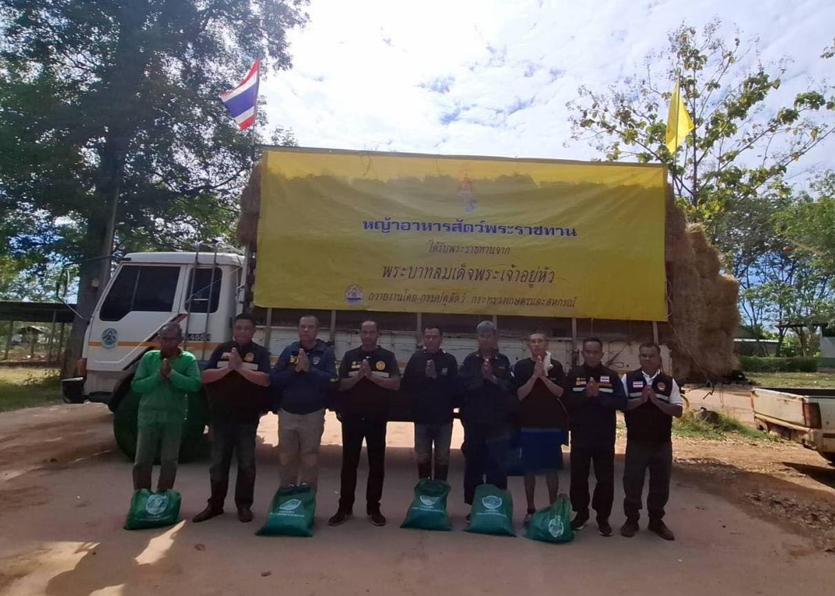 605066509 1270337141796039 8822089304764631464 n