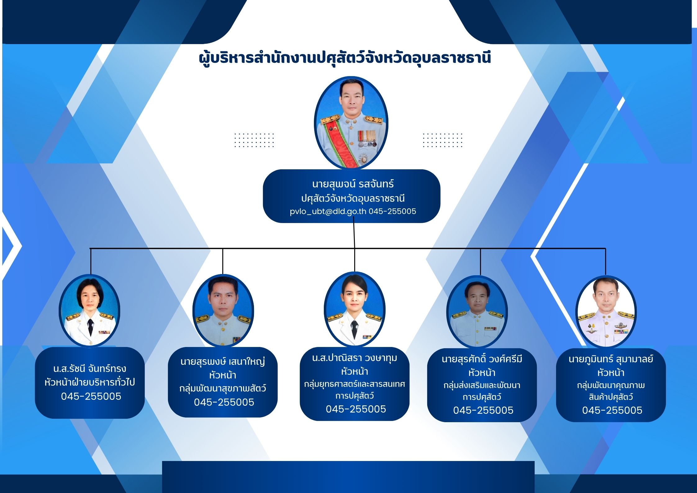 Blue and White Modern Organizational Structure A4 2