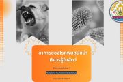 อาการโรคพิษสุนัขบ้าที่ควรรู้ในสัตว