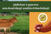 ปศุสัตว์เขต 3 บูรณาการยกระดับหม่ำชัยภูมิ ของดีประจำจังหวัด